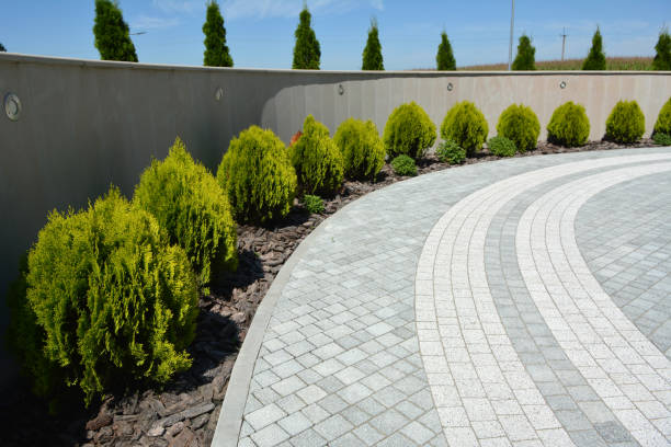 Best Driveway Resurfacing Pavers  in Dalhart, TX